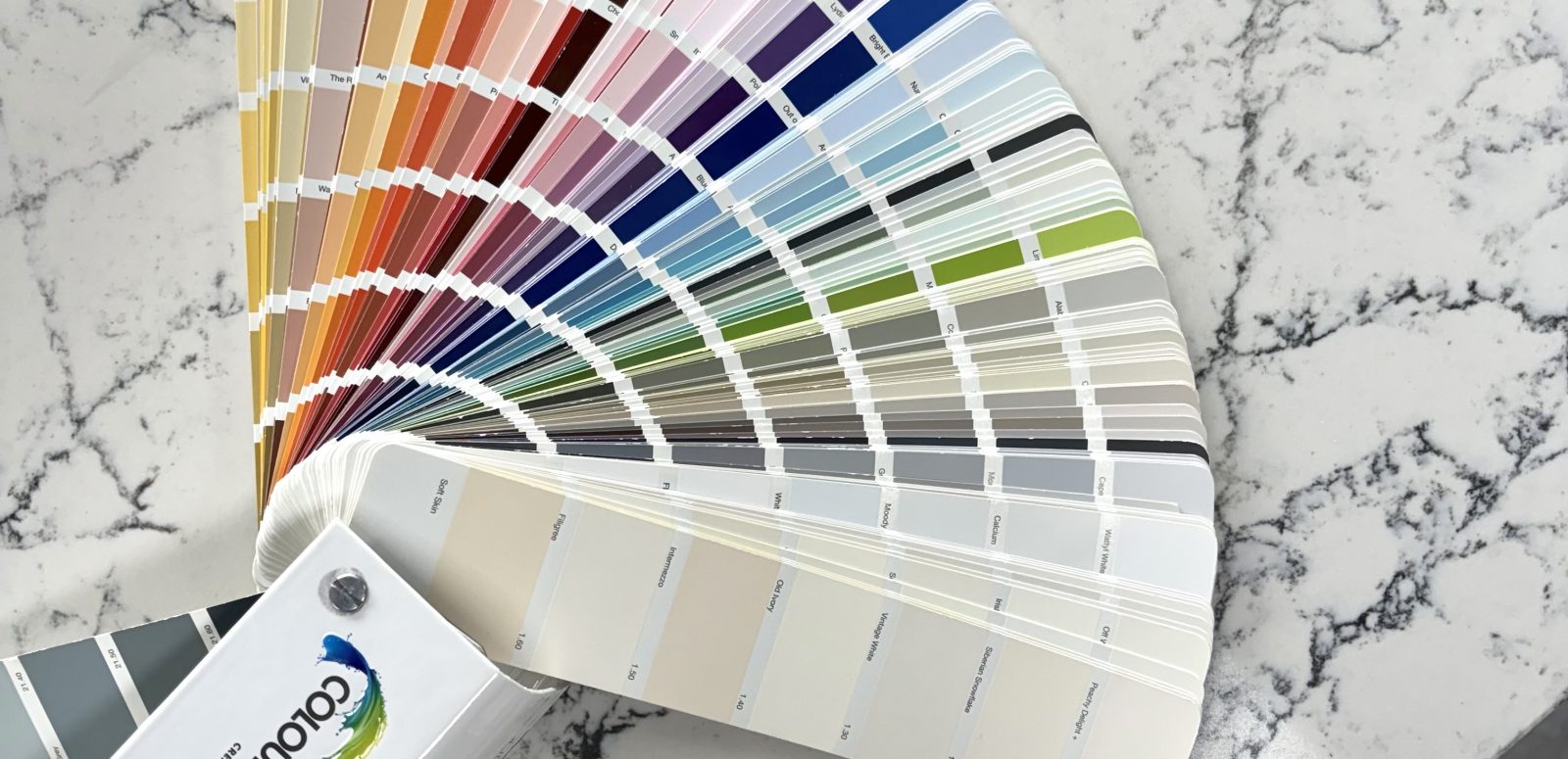 Paint With Purpose